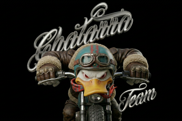 Chatarra Team!